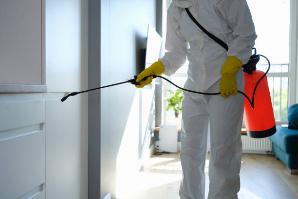 Best Professional Mold Removal  in Clinton, PA